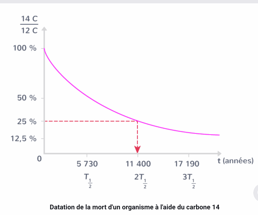 CMS - une vue d'ensemble