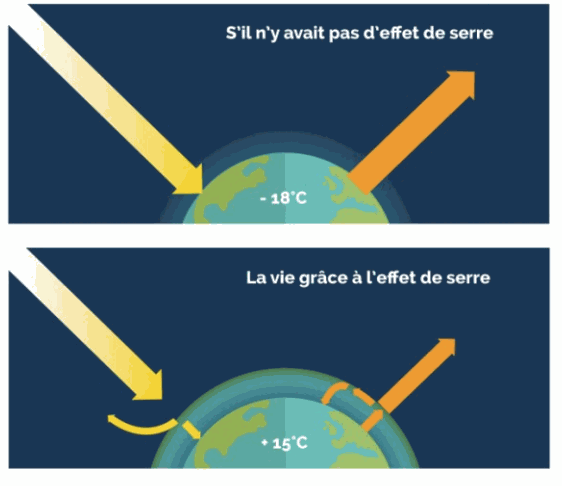 CMS - une vue d'ensemble